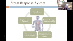 3/11/20: Supporting Youth Experiencing Trauma in the Classroom & Beyond